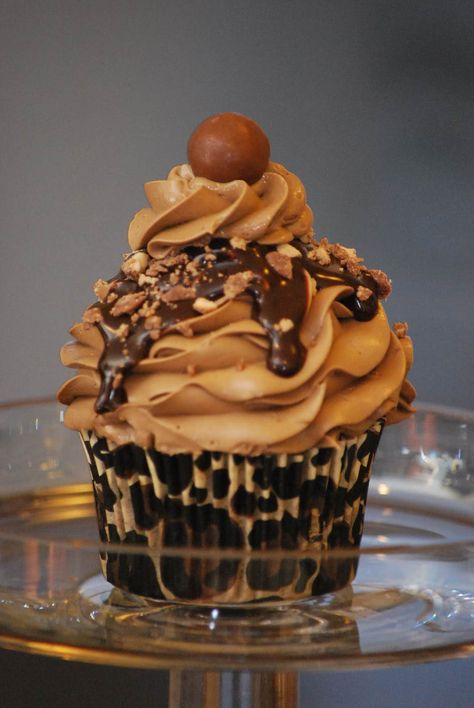 decadent looking mocha cupcake that's probably about 1000 calories! Fun Cupcake Recipes, Coffee Cupcakes, Yummy Cupcakes, Dessert Cupcakes, Sweets Treats, Let Them Eat Cake, Mini Cakes, Cupcake Recipes, Just Desserts