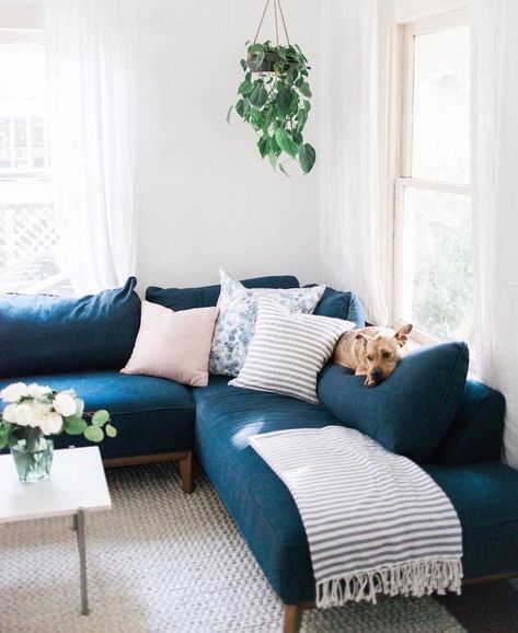 ♕ insta and pinterest @amymckeown5 Turquoise Couch, Room Decor On A Budget, Turquoise Living Room Decor, Blue Couch, Living Room Decor On A Budget, Teal Sofa, Sala Grande, Blue Couches, Small Living Room Design