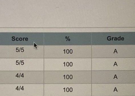 good grades academic validation Powerschool Grades, Grades Vision Board, Distinction Grade, Good Grades Vision Board, College Motivation, Straight A, 100 Grade, Vision Board Goals, Academic Validation