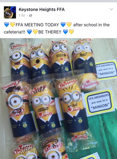 Keystone Heights FFA - You're one in a "minion"! 4h Food Challenge Team Names, Ffa Fair Decorations Stalls, Fun Ffa Activities, Sae Ideas Ffa, Ffa Chapter Meeting Activities, Ffa Convention Packing List, Ffa Chapter Meeting Ideas, Ffa Officer Retreat Ideas, Ffa Activities High Schools