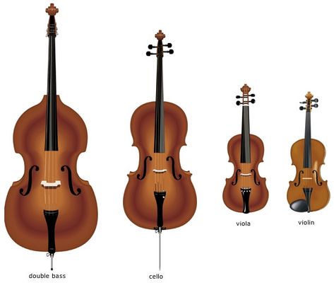 Violin Family, The Violin, Teaching Music, String Instruments, School Art, Orchestra, Teaching Kids, Violin, Piano