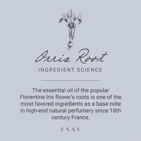 Irises aren't just pretty to look at: their rootstalks are used to produce an oil that is one of the most highly prized ingredients in fragrance for 300 years. And while the aroma may be intoxicating, #OrrisRoot has a natural ability to detoxify the skin, too. Try Orris Root and all its prized benefits in our NYC Resort Collection Kolonya! #Esasbeauty #naturalbeauty #organicskincare #naturalliving #organicingredients #organichome #nontoxichome #ingredientscience Saturn Correspondences, Orris Root, Iris Flowers, Resort Collection, Irises, Oscar Wilde, Natural Living, Organic Ingredients, Organic Skin Care