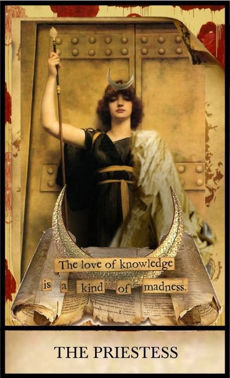 The Priestess Cabaret Voltaire, William Godward, John William Godward, Tarot Magic, Major Arcana Cards, Tarot Major Arcana, High Priestess, Tarot Cards Art, Tarot Art