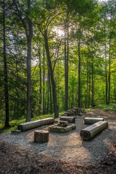 Forest Fort Ideas, Hipcamp Ideas, Outdoor Fire Pit Designs, Fire Pit Area, Fire Pit Designs, Forest Garden, Backyard Fire, Woodland Garden, Fire Pit Backyard