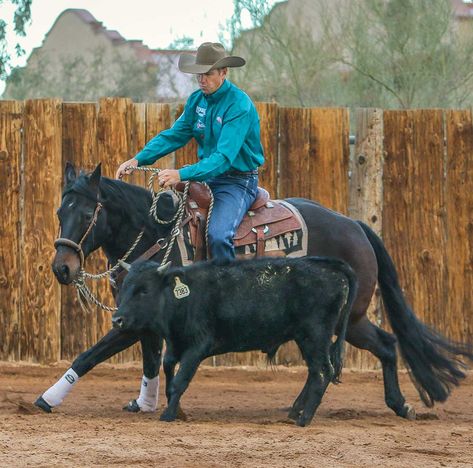 Reined Cow Horse, Horse Safety, Rodeo Aesthetic, Western Pics, Mustang Makeover, Horse Lifestyle, Western Horseman, Working Cow Horse, Ranch Horses