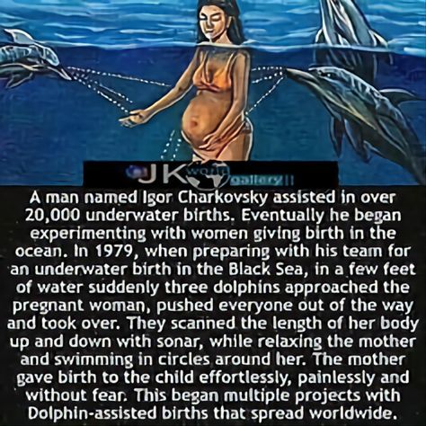 Fun Facts About Science, Amazing Nature Facts, Dark Historical Facts, Pregnancy Facts Interesting, Creepy Facts True, Historical Facts Creepy, Dark Psychology Facts, Real Creepy Facts, Factinate Stories