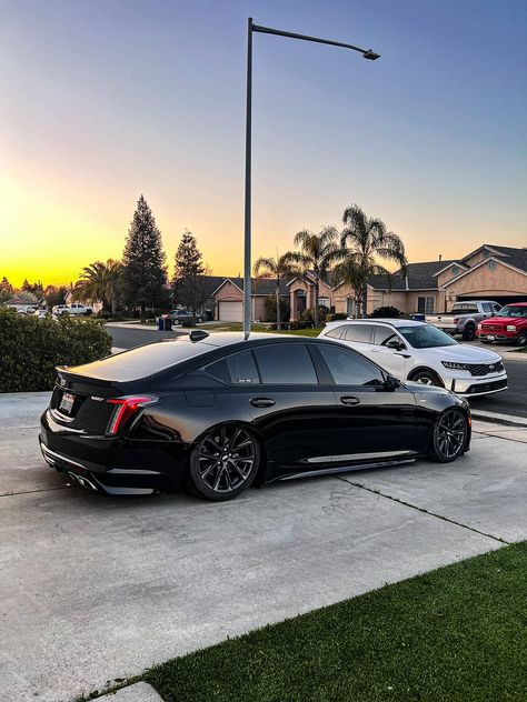 Cadillac CT5V-Blackwing air suspension by Air lift with management. This blacked-out ride isn’t just for show, it’s a testament to Cadillac’s commitment to performance, and a nod to the sinister vibe of the previous generations of the CTS-V models. Find out more on our website! Coupe, Black Sedan Car, Cadillac Ctv5 Blackwing, Cadillac Cts V Blackwing, Ct5v Blackwing, Cadillac Cts V Sport, Cadillac Aesthetic, Ct5 V Blackwing, Cadillac Cts Coupe