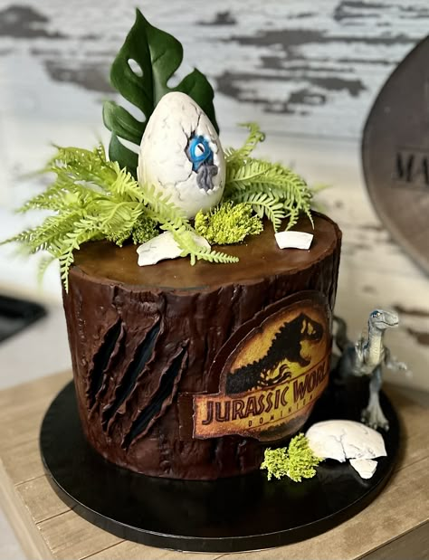 Jurassic Park 3rd Birthday Cake, Jurassic World Cakes, Jurassic World Cake Simple, Jurassic Park Cake Ideas, Camp Cretaceous Cake, Jurassic Park Cake Birthdays, Jurassic World Cake Ideas, Pastel Jurassic World, Bolo Jurassic World