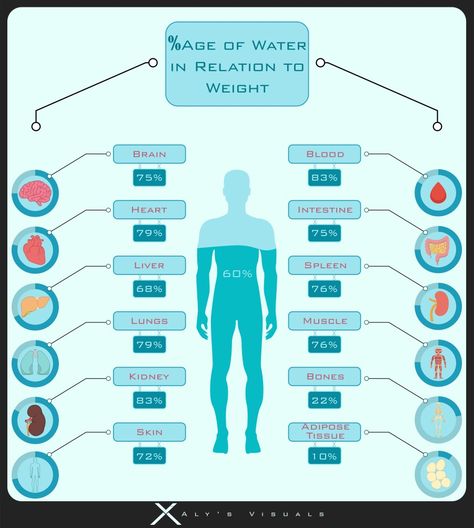 This is an infographics of water% in human body . It shows the percentage with respect to weight of some vital organs Human Body Water Percentage, Health Chart, White Instagram, Black And White Instagram, Propagating Succulents, Health Trends, Skin Tissue, Detox Water, Happy Healthy