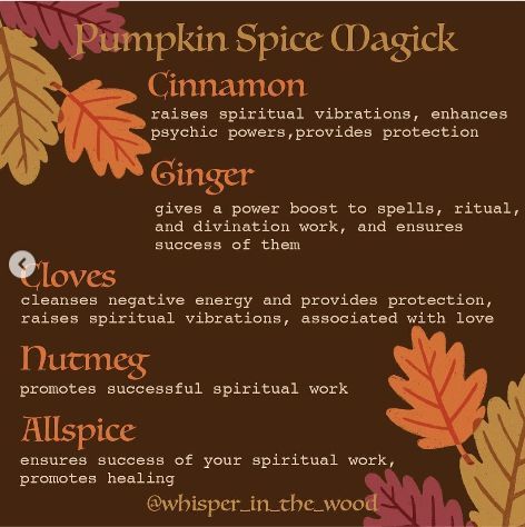 Ritual Spells, Blessed Samhain, Goddess Magick, Simmer Pot Recipes, Magickal Herbs, Witch Herbs, Green Witchcraft, Which Witch, Samhain Halloween