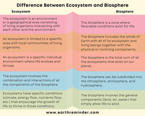 5 Major Difference Between Ecosystem and Biosphere | Earth Reminder Biosphere Ecosystem, Environmental Management, Biodiversity Conservation, Physical Environment, English Story, Energy Flow, Life Form, Ecosystem, Life Cycles