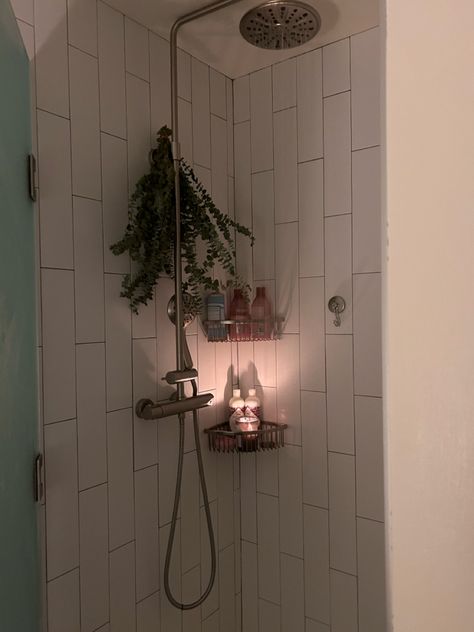 Eculyptus Shower Aesthetic, Shower Astethic, Self Care Shower, Shower Aesthetic, Self Care, Apartment, Holidays, Shower