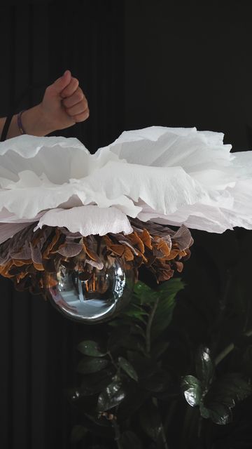 Sandra Eggesten on Instagram: "🤍 . 🤍 . 🤍 . 🤍 . 🤍 . 🤍 . 🤍 . 🤍 . 🤍 . #designvvv #art #artist #papercrafts #paperflower #makeityourself #femaleartist #process #makehomeyours #makehomematter #lampshadesdesign #lampdesign #lampshade #artofinstagram #paperflowerinspiration #makeyourdreamscometrue #makelampshades #papercraft #flowers #paper #design" Flower Lamp Shade, Feather Chandelier, Lampshade Designs, Flower Lamp, Flowers Paper, Diy Lamp Shade, Giant Flowers, Diy Lamp, Crepe Paper