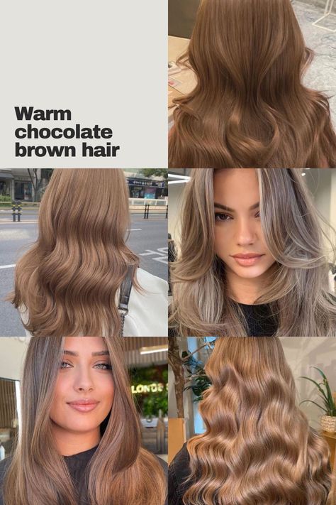 #LightBrown #WarmChocolateBrownHair #2024SpringHair #HairColor #LongHair Haircolor Idea 2024, Warm Chocolate Brown Hair, Warm Brown Hair Color, Rich Chocolate Brown Hair, Warm Brown Hair, Summer Blonde Hair, Hairstyle Examples, Mixed Curly Hair, Chocolate Brown Hair Color