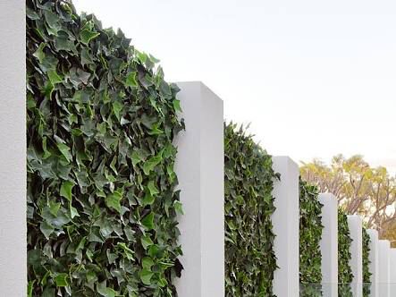 House Fences, Plant Screen, Faux Ivy, House Remodeling Ideas, Ivy Plant, Ivy Wall, Privacy Hedge, Screen Plants, Fence Gates