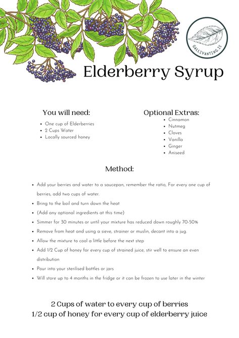 Fire Cider Recipe, Elderberry Syrup Recipe, Elderberry Juice, Homemade Elderberry, Elderberry Recipes, Fire Cider, Elderberry Syrup, Berry Juice, Earthy Scent