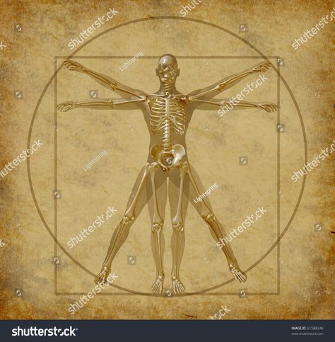 vitruvian-human-diagram-grunge-medical #Ad , #spon, #human#vitruvian#diagram#medical Human Diagram, Drawing Bones, Human Body Structure, Famous Artworks, Vitruvian Man, Anatomy Sketches, Famous Artwork, Famous Paintings, Body Anatomy