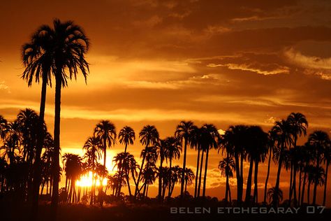 Entre Rios, Dawn And Dusk, Best Sunset, Mesopotamia, Beautiful Sunset, Mother Earth, Sunrise Sunset, Ecology, South America