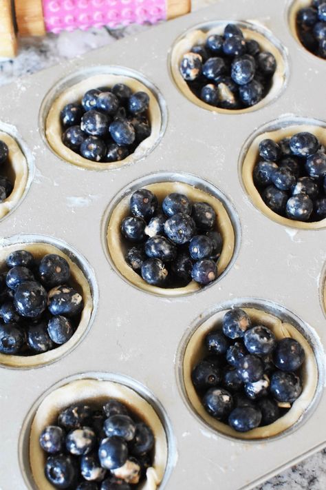 Mini Pie In Muffin Tin, Mini Blueberry Cream Cheese Tarts, Blueberry Pie Mini, Small Blueberry Pie, Mini Blueberry Cobbler, Blueberry Pie Bites, Cupcake Tin Pies, Muffin Tin Pies Desserts, Mini Chocolate Pies In Muffin Tin