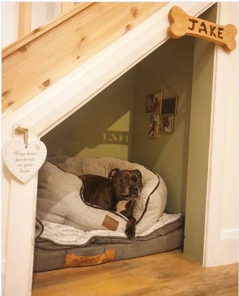 Dog Rooms Under Staircase, Pet Nook Under Stairs, Dog Inside House, Pet Bed Under Stairs, Dogs Corner In House, Doghouse Under Stairs, Dog Crate Under Stairs Built Ins, Dog Spot Under Stairs, Dog Cave Under Stairs