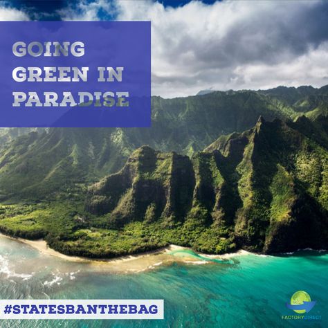 🏝 Hawaii doesn't technically have a state-wide plastic bag ban, but they may soon. 𝘓𝘦𝘢𝘳𝘯 𝘮𝘰𝘳𝘦 𝘢𝘣𝘰𝘶𝘵 𝘵𝘩𝘦 𝘶𝘯𝘪𝘲𝘶𝘦 𝘸𝘰𝘳𝘬𝘢𝘳𝘰𝘶𝘯𝘥 𝘵𝘩𝘢𝘵 𝘦𝘧𝘧𝘦𝘤𝘵𝘪𝘷𝘦𝘭𝘺 𝘣𝘢𝘯𝘴 𝘣𝘢𝘨𝘴 𝘪𝘯 𝘵𝘩𝘦 𝘈𝘭𝘰𝘩𝘢 𝘴𝘵𝘢𝘵𝘦 𝘸𝘩𝘪𝘭𝘦 𝘸𝘰𝘳𝘬 𝘪𝘴 𝘥𝘰𝘯𝘦 𝘵𝘰 𝘱𝘢𝘴𝘴 𝘢 𝘣𝘪𝘭𝘭 𝘵𝘩𝘢𝘵 𝘸𝘪𝘭𝘭 𝘰𝘧𝘧𝘪𝘤𝘪𝘢𝘭𝘭𝘺 𝘣𝘢𝘯 𝘣𝘢𝘨𝘴 𝘵𝘩𝘳𝘰𝘶𝘨𝘩𝘰𝘶𝘵 𝘵𝘩𝘦 𝘴𝘵𝘢𝘵𝘦.  #GoReusableNow #StatesBanTheBag #PlasticFreeJuly #BagBan Hawaiian Islands, Cottage On Stilts, Hawaii Mountains, Hawaiian Sunset, Beachfront Hotels, Hawaii Honeymoon, Mountain Wallpaper, Beach Wallpaper, Big Island