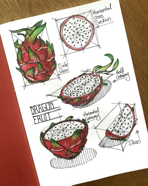 Dragonfruit Dragon, Fruit Sketch, Fruit Art Drawings, Thanh Long, Gcse Art Sketchbook, A Level Art Sketchbook, Fruits Drawing, Sketchbook Illustration, Astuces Diy