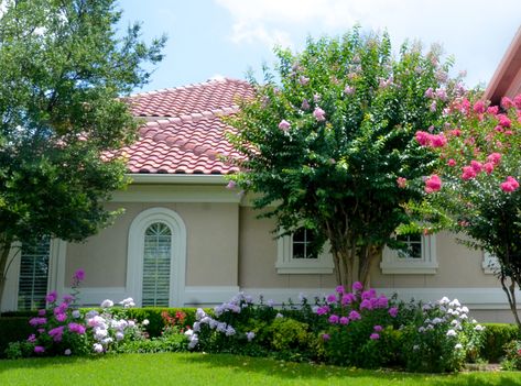 Landscaping Design with Crape Myrtles – Lee Ann Torrans Gardening Crepe Myrtle Landscaping, Crepe Myrtle Trees, Spring Perennials, Pink Perennials, Myrtle Tree, Ferns Garden, Crepe Myrtle, Purple Spring, Farmhouse Landscaping