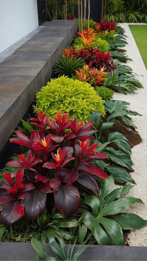 Front Yard Plants Ideas, Malaysia Garden Landscape, Tropical Front Garden Design, Small Garden Flower Ideas, Small Garden Design Front Of House, Plant Combinations Garden, Tropical Garden Ideas Backyards, Florida Landscape Front Yard, Front Yard Tropical Landscaping Design