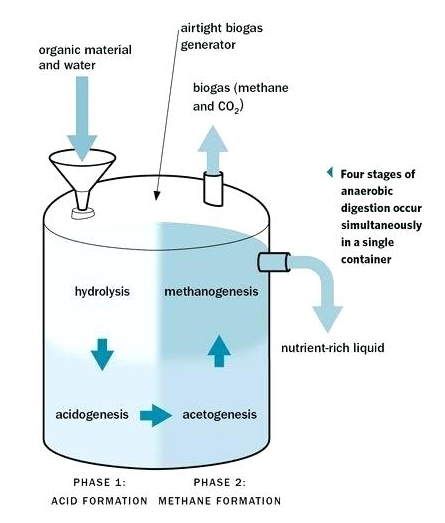 Plant Laboratory, Biogas Digester, Plant Experiments, Anaerobic Digestion, Conical Flask, Laboratory Technician, Process Engineering, Renewable Energy Systems, Off Grid Power