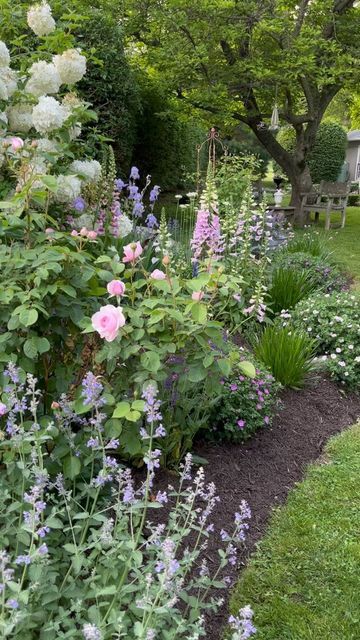 English Cottage Landscaping Front Yards, Jasmine Garden, Bungalow Garden, Circular Garden, Plant Inspiration, Throw Back Thursday, Spring Gardens, Spring Purple, Starting Seeds