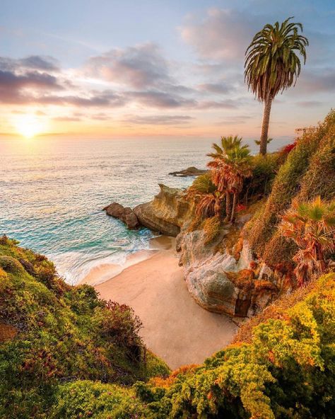 Laguna Beach California, Miramar Beach, Beach Camping, Global Travel, Beach California, Instagram Ideas, Travel Adventure, Nature Reserve, Beautiful Place