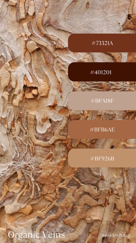 Cocoa Brown Color Palette, Terracotta Brown Color Palettes, Rust And Cream Color Palette, Rustic Palette Color, Brown Color Mood Board, Black Brown Orange Color Palette, Orange Brown Cream Color Palette, Reddish Brown Color Palette, Earthy Brown Color Palette