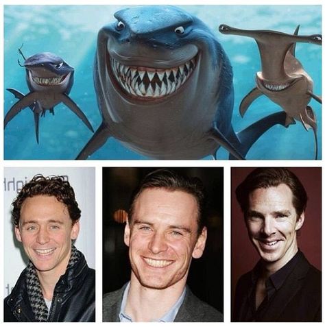 aaah look my little sharks. Tom Hiddleston, Michael Fassbender and Benedict Cumberbatch. :D Funny Marvel Memes, Dc Memes, Avengers Memes, Daily Funny, Marvel Jokes, Finding Nemo, Michael Fassbender, Avengers Funny, Marvel Funny