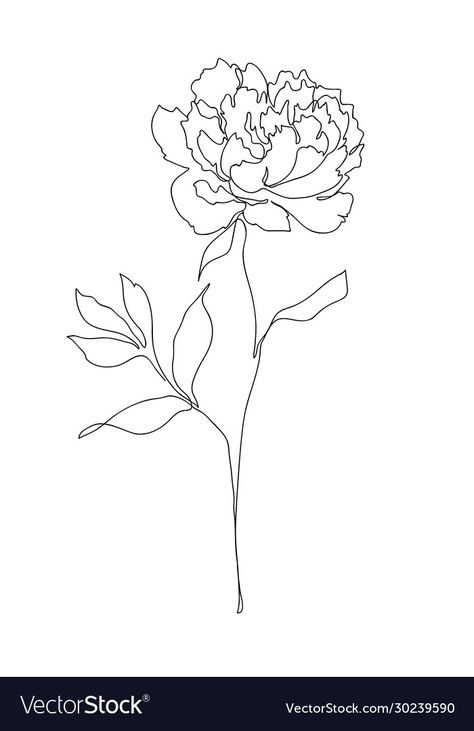 Peonies Line Art, Peony Line Tattoo, Carnation Tattoo Outline, Small Peony Tattoo, Continuous Line Tattoo, Tat Inspiration, Peony Flower Tattoos, Carnation Tattoo, Peony Drawing