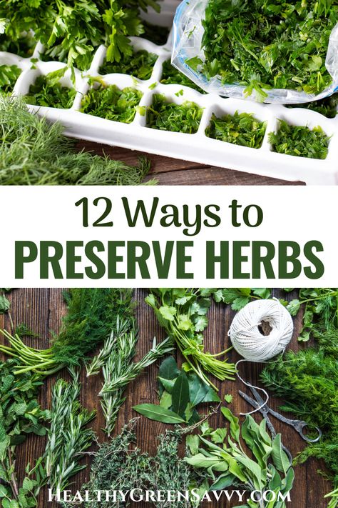 Want to preserve some of those delicious herbs from your garden? Check out these 12 ways to preserve herbs and enjoy the flavors of summer all year round. | preserving herbs | how to preserve herbs | seasonal eating | home food preservation | Herb Preservation, Preserve Herbs, Storing Herbs, Preserve Fresh Herbs, Drying Fresh Herbs, Herbal Vinegar, Solar Punk, Freezing Herbs, Preserving Herbs