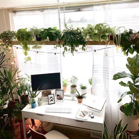 DIY Plant shelf above window, giving off an urban jungle vibe Diy Hanging Plant Shelf, Indoor Plant Shelf Ideas, Above Window Decor, Shelf Over Window, Shelf Above Window, Plant Shelf Ideas, Indoor Plant Shelf, Window Shelf For Plants, Window Plant Shelf