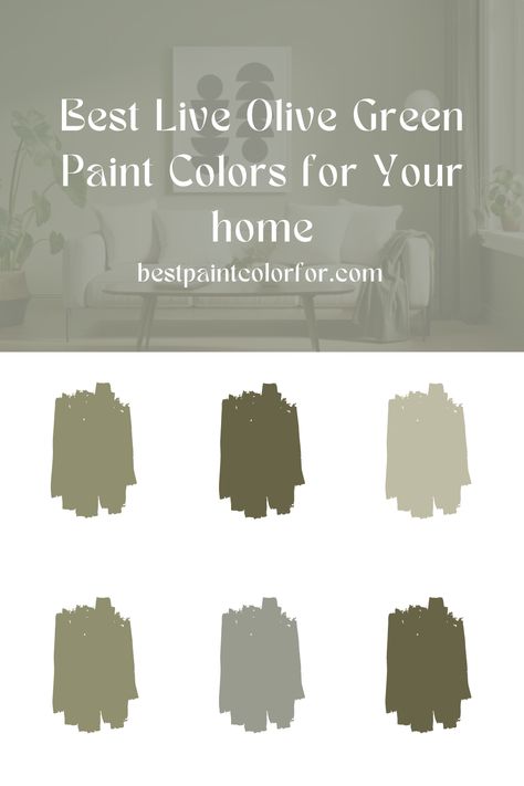 The best light olive green paint colors Light Olive Green Paint, Olive Green Paint Colors, Olive Green Rooms, Olive Green Paint, Green Exterior Paints, Sherwin Williams Green, Olive Green Paints, Paint Color Guide, Olive Green Walls