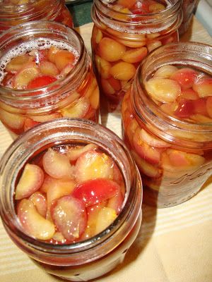 Redman Family Favorites: Canning Rainier Cherries #rainiercherries Rainer Cherry Recipes, Rainer Cherries, Canning Cherries, Canning Fruit Recipes, Canning And Preserving, Rainier Cherries, Canning Fruit, Canning Food, Canned Food Storage