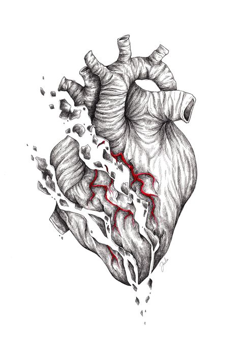 #anatomical #heart #ink #illustration #rotring #rapidograph #draw #sketch #sketching #art #artofinstagram #artwork #creative #blackwork #lineart #pencil #artist Heart Art Drawing Dark, Anatomical Heart Drawing, Anatomical Heart Art, Handmade Illustration, Gcse Art Sketchbook, Heart Sketch, Heart Illustration, Heart Drawing, Ink Illustration