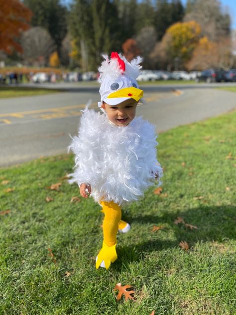 So easy. Two boas, hat, some felt and big eyes! Diy Chicken Costume, Chicken Costume Kids, Chicken Costume, Chicken Costumes, Costume Toddler, Diy Chicken, Chicken Diy, Toddler Costumes, Big Eyes