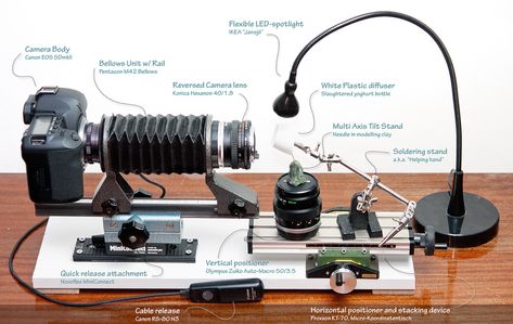 Más tamaños | Cheap and simple studio stacking setup | Flickr: ¡Intercambio de fotos! Macro Photography Setup, Macro Photography Tips, Foto Macro, Photography Lighting Setup, Micro Photography, Photo Gear, Photography Classes, Macro Photos, Photography Equipment