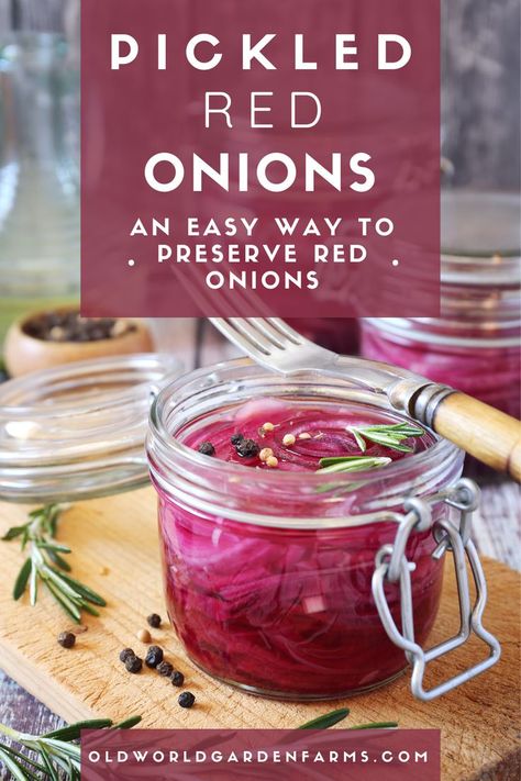 Red pickled onions in a glass jar ready to be served and enjoyed as a condiment. Pickled Red Onion Recipe, Pickle Onions Recipe, Pickled Red Onion, Red Onion Recipes, Quick Pickled Red Onions, Brine Recipe, Tacos And Burritos, Pickled Red Onions, Onion Recipes