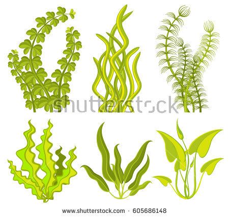 Underwater Mural, Coral Drawing, Underwater Drawing, Tanaman Air, Baby Animal Nursery Art, Ocean Plants, Underwater Plants, Underwater Painting, Kelp Forest