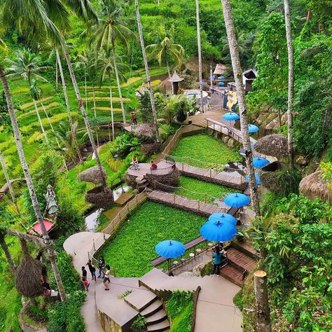 Farm Stay Ideas, Mountain Resort Architecture, Mountain View Restaurant, Agro Tourism, Resort Hotel Design, Farm Tourism, Hanging Flowers Wedding, African Hut, Rooftop Restaurant Design