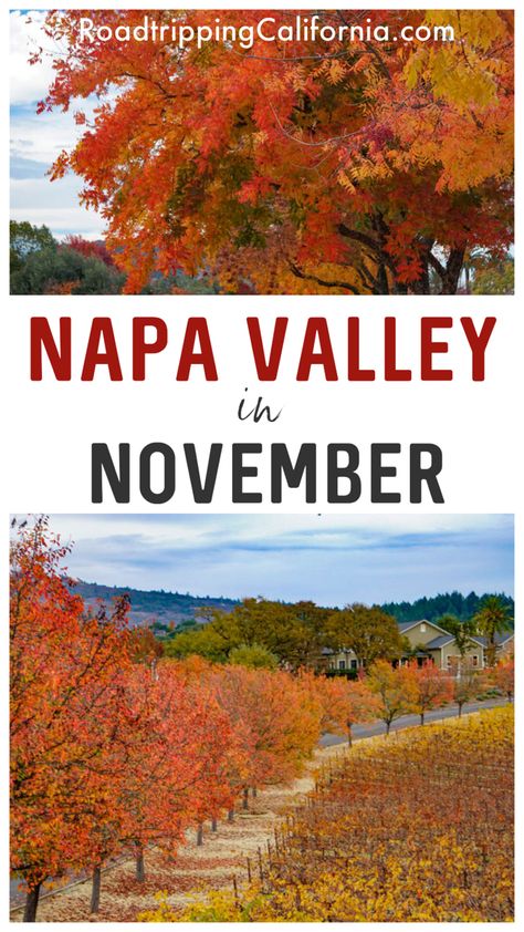 Discover the best things to do on a visit to Napa Valley in November! From fall colors to fall flavors, experience the best of California’s premier wine country getaway in November. Plus where to stay, where to eat, and what to wear! Napa In Fall, Napa Valley In November, Fall In Napa Valley, Napa In November, What To Wear In Napa Valley Fall, Napa Valley Itinerary, Things To Do In Napa, Country Getaway, Napa Valley Vineyards