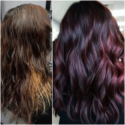 Pinot Noir Red Hair, Red Balayage Hair Medium Length, Two Color Hair Underneath, Dark Hair With Burgundy Highlights, Dark Burgundy Balayage, Blackberry Hair Color Dark, Eggplant Hair Color, Plum Balayage, Eggplant Colored Hair