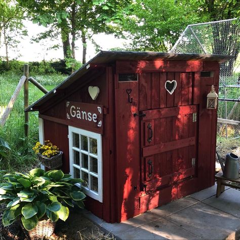 Geese Shelter Ideas, Goose House Ideas, Geese House Ideas, Goose House, Duck Stuff, Duck Coop, Foul Play, Duck And Ducklings, Pig House