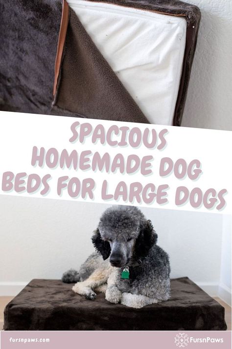 dog beds for large dogs Diy Dog Beds For Large Dogs, Dog Bed Ideas Diy, Homemade Dog Beds For Large Dogs, Dog Beds Diy, Diy Raised Dog Bed, Diy Elevated Dog Bed, Pvc Dog Bed, Dog Bed Diy, Easy Dog Bed