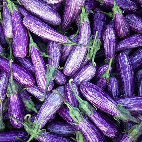 For most of us, an eggplant is only one thing—the dark purple, pear-shaped vegetable we find in every grocery store produce department. But to the four y... Fairy Tale Eggplant, Vegetable Dishes Healthy, Baba Ghanoush Recipe, Eggplant Relish, Eggplant Varieties, Kitchen Knowledge, Plum Varieties, Store Produce, Thai Eggplant