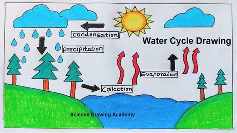 Water Cycle drawing  science project | paper chart | science drawing  @howtofunda   @craftpiller ​ Simple Water Cycle Diagram, Easy Water Cycle Drawing, Condensation Drawing, Water Cycle Drawing Art Projects, Evaporation Drawing, Science Charts For Classroom, Water Cycle Project Poster, Water Resources Project, Condensation Water Cycle